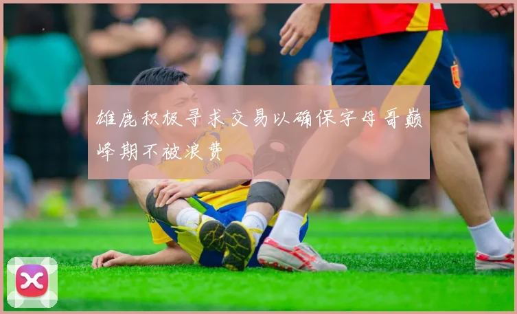 雄鹿积极寻求交易以确保字母哥巅峰期不被浪费