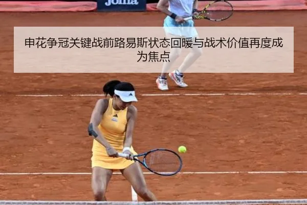 申花争冠关键战前路易斯状态回暖与战术价值再度成为焦点 | leyusports